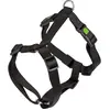 Image de Kerbl Plats Miami (Chien), Collier + laisse