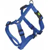Image de Kerbl Plats Miami (Chien), Collier + laisse