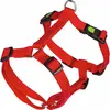 Image de Kerbl Vaisselle Miami (Chien, Sport canin), Collier + laisse