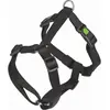Image de Kerbl Plats Miami (Chien), Collier + laisse