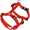 Image de Kerbl Vaisselle Miami (Chien), Collier + laisse