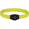 Image de Kerbl Maxi coffre-fort (Taille unique, Chien), Collier + laisse