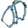 Image de Kerbl Vaisselle Colorado (Chien, Général), Collier + laisse