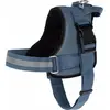 Image de Kerbl Hundegeschirr Maestro 20 (Chien), Collier + laisse