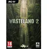 Image de Pc Games Pc Wasteland 2