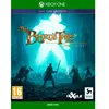 Image de Xbox Games One The Bard´s Tale Iv Director´s Cut Day One Edition