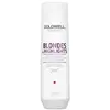 Image de Goldwell Dualsenses Blondes & Highlights Anti-Gelbstich Shampoo Shampoo