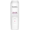 Image de Goldwell Dualsenses Color Brillanz Conditioner Conditioner