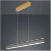 Image de Helestra, Suspension, Bora (4320 lm)