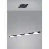 Image de Helestra, Suspension, Pole (1365 lm)
