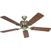 Image de CasaFan Eco Elements, Ventilateur, Beige, Marron
