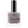 Image de Alessandro Hybrid Nagellak