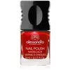 Image de Alessandro Nail Polish Colour Explosion Small Nagellak