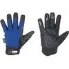 Image de Elysee, Gants de protection, Gants d'hiver Freezer, taille 8, noir/bleu (8)
