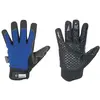 Image de Stronghand, Gants de protection, Gants d'hiver Freezer, taille 10, noir/bleu (10)