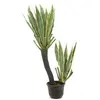 Image de Europalms, Plantes artificielles, Cactus orchidée, plante artificielle, 160cm (160 cm)