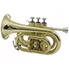 Image de Dimavery TP-300 Trompette de poche en si bémol, or (Trompettes), Instrument à vent, Or