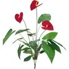 Image de Europalms, Plantes artificielles, Anthurium (70 cm)