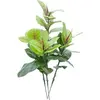 Image de Europalms, Plantes artificielles, Caoutchouc, plante artificielle, 100cm (100 cm)