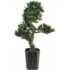 Image de Europalms, Plantes artificielles, Bonsai Podocarpus (80 cm)