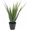 Image de Europalms, Plantes artificielles, Aloe-Vera (60 cm)