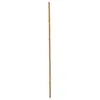 Image de Europalms, Plantes artificielles, Canne de bambou