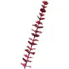 Image de Europalms, Plantes artificielles, Eucalyptus en cristal, plante artificielle, bourgogne, 81cm 12x (81 cm)