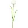 Image de Europalms, Plantes artificielles, Tulipe en cristal, fleur artificielle, blanc, 61cm 12x (61 cm)