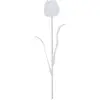 Image de Europalms, Plantes artificielles, Tulipe en cristal, fleur artificielle, transparente, 61cm 12x (61 cm)