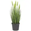 Image de Europalms, Plantes artificielles, Blé début d'été (60 cm)