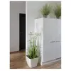 Image de Europalms, Plantes artificielles, Herbe étoilée, artificielle, 120cm (120 cm)