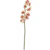 Image de Europalms, Plantes artificielles, Branche de cymbidium (90 cm)