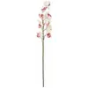 Image de Europalms, Plantes artificielles, Cymbidiumzweig (90 cm)