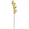 Image de Europalms, Plantes artificielles, Branche de cymbidium (90 cm)
