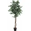 Image de Europalms, Plantes artificielles, Benjamini ficus argenté, plante artificielle, 180cm (180 cm)