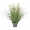 Image de Europalms, Plantes artificielles, Ziergras (70 cm)