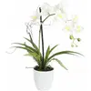 Image de Europalms, Plantes artificielles, WD-40 400 ml blanc goût lithium (62 cm)