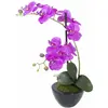 Image de Europalms, Plantes artificielles, Arrangement d'orchidées 4, artificielles (45 cm)