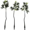 Image de Europalms, Plantes artificielles, Pachira, plante artificielle, 160cm (160 cm)
