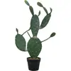 Image de Europalms, Plantes artificielles, Cactus à feuilles (76 cm)