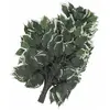 Image de Europalms, Plantes artificielles, Branche de ficus, artificielle, 12x