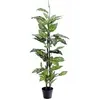 Image de Europalms, Plantes artificielles, Dieffenbachia, artificiel, 120cm (120 cm)