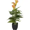Image de Europalms, Plantes artificielles, Calla mini, plante artificielle, jaune orange, 43cm (43 cm)