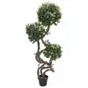 Image de Europalms, Plantes artificielles, Ficus Multi tige en spirale, plante artificielle, 160cm (160 cm)
