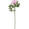Image de Europalms, Plantes artificielles, Branche de pivoine Classic, plante artificielle, rose, 80cm (80 cm)