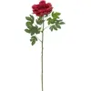 Image de Europalms, Plantes artificielles, Branche de pivoine Classic, plante artificielle, magenta, 80cm (80 cm)