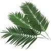 Image de Europalms, Plantes artificielles, Feuilles de coco, artificielles, 90cm 12x (90 cm)