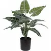 Image de Europalms, Plantes artificielles, Caladium (38 cm)