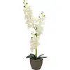 Image de Europalms, Plantes artificielles, Orchidée (80 cm)