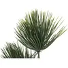 Image de Europalms, Plantes artificielles, Papyrus, plante artificielle, 100cm (100 cm)